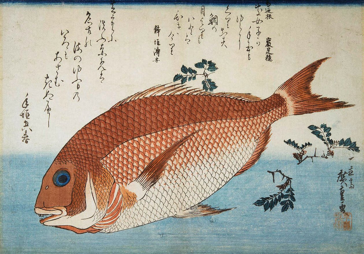 Røde havbrasmer, 1832-1834. av Utagawa Hiroshige