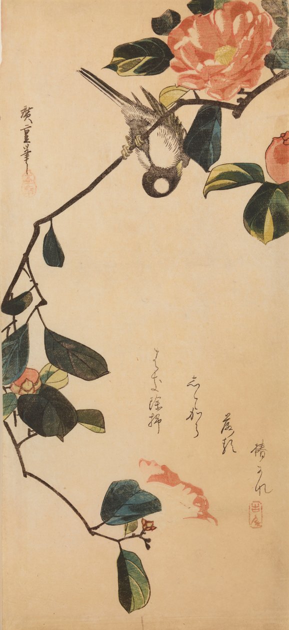 Kjøttmeis på en gren av blomstrende kamelia av Utagawa Hiroshige