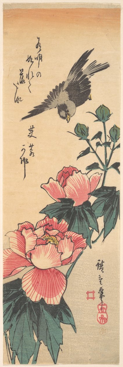 Spurv og hibiskus av Utagawa Hiroshige
