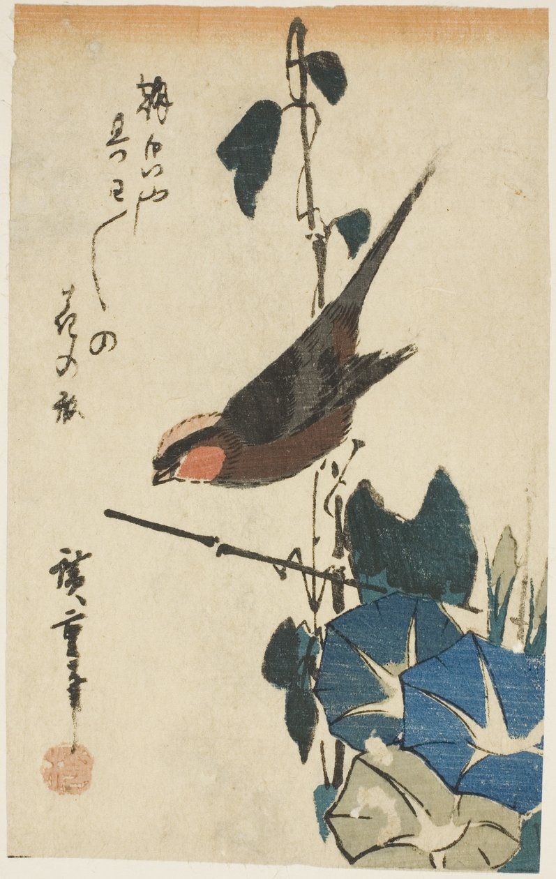 Spurv og morgenfruer av Utagawa Hiroshige