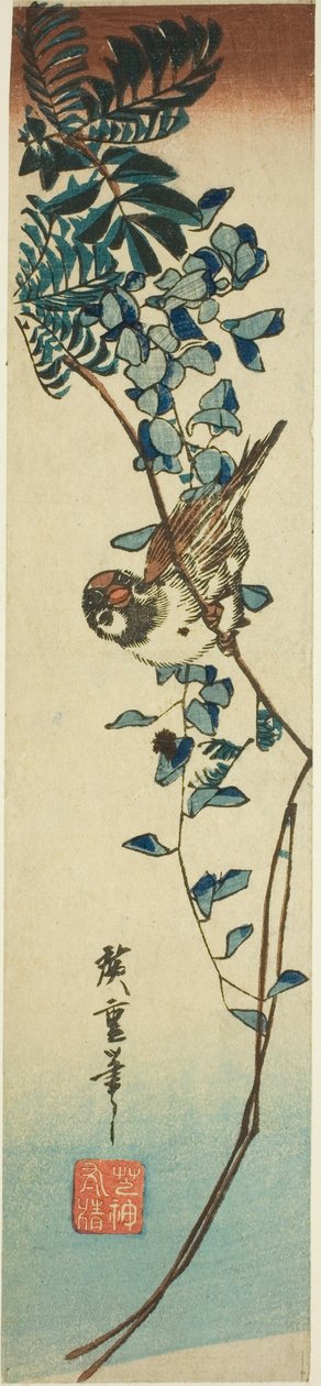 Spurv og blåregn av Utagawa Hiroshige