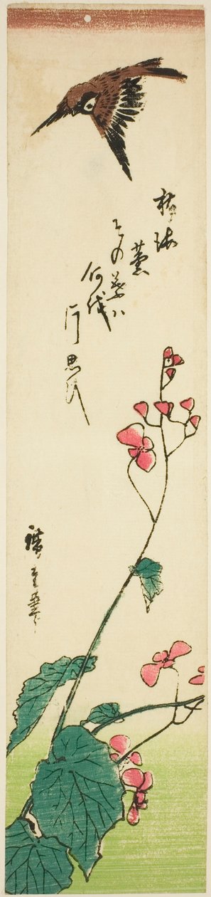 Spurv som flyr over begonia av Utagawa Hiroshige