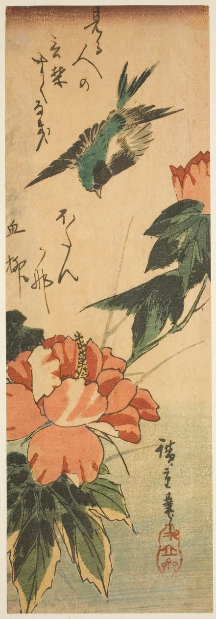 Svelge og hibiskus av Utagawa Hiroshige