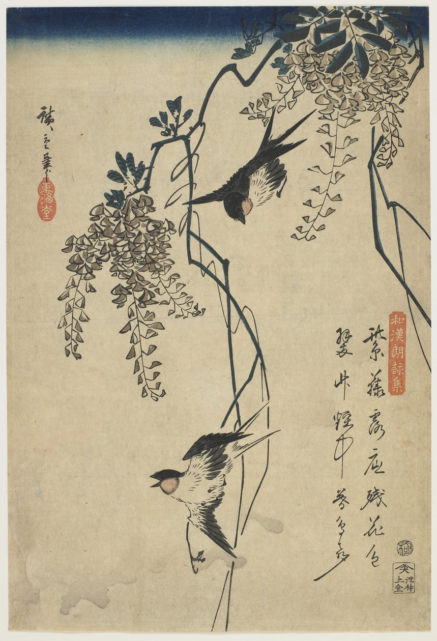 Svaler som flyr gjennom Wisteria Vines, 1837-44 (farget treblokktrykk) av Utagawa Hiroshige