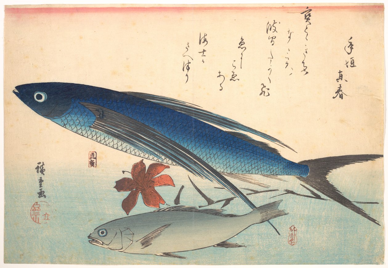Tobiuo- og ishimotchi-fisk, fra serien Uozukushi (Alle fiskeslag) av Utagawa Hiroshige