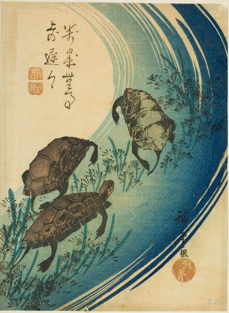 Skilpadder svømmer i en bekk av Utagawa Hiroshige