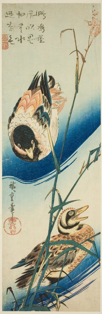 To ender som svømmer blant siv av Utagawa Hiroshige