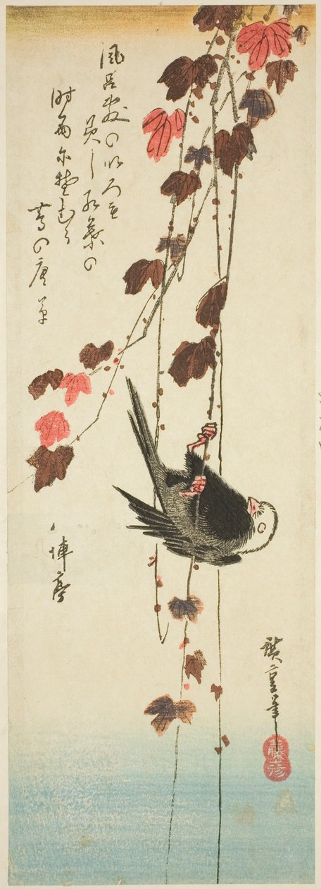 Hvithodet fugl og eføy av Utagawa Hiroshige