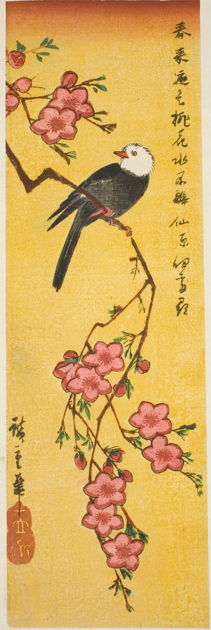 Hvithodet fugl på ferskengren av Utagawa Hiroshige