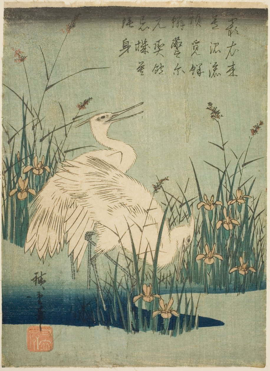 Hvite hegre og iris av Utagawa Hiroshige