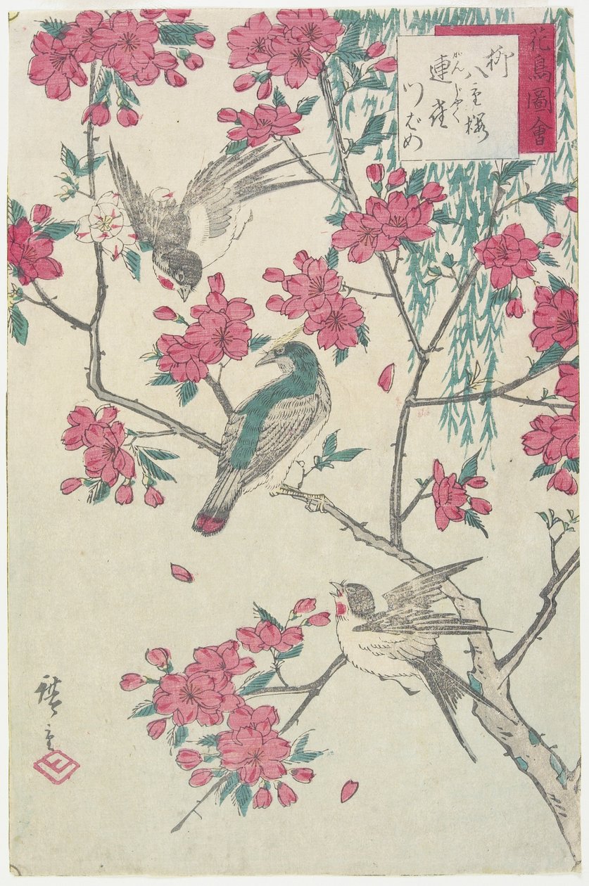 Pil, kirsebærblomster, spurver og svale, tidlig på 1800-tallet av Utagawa Hiroshige