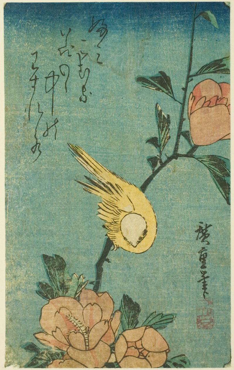 Gul fugl og hibiskus av Utagawa Hiroshige