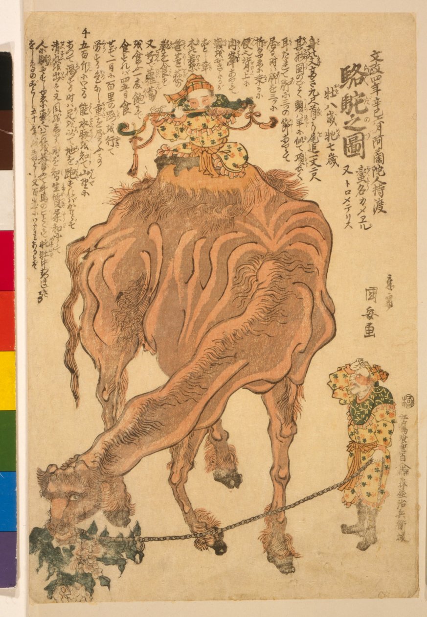 En kamel, pub. 1824 (håndfarget tresnitt) av Utagawa Kuniyasu