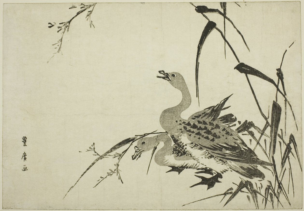 Villgås og siv av Utagawa Toyohiro