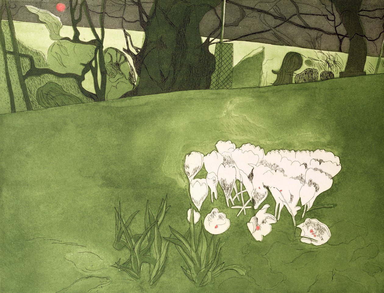 Krokus (trykk) av Valerie Daniel