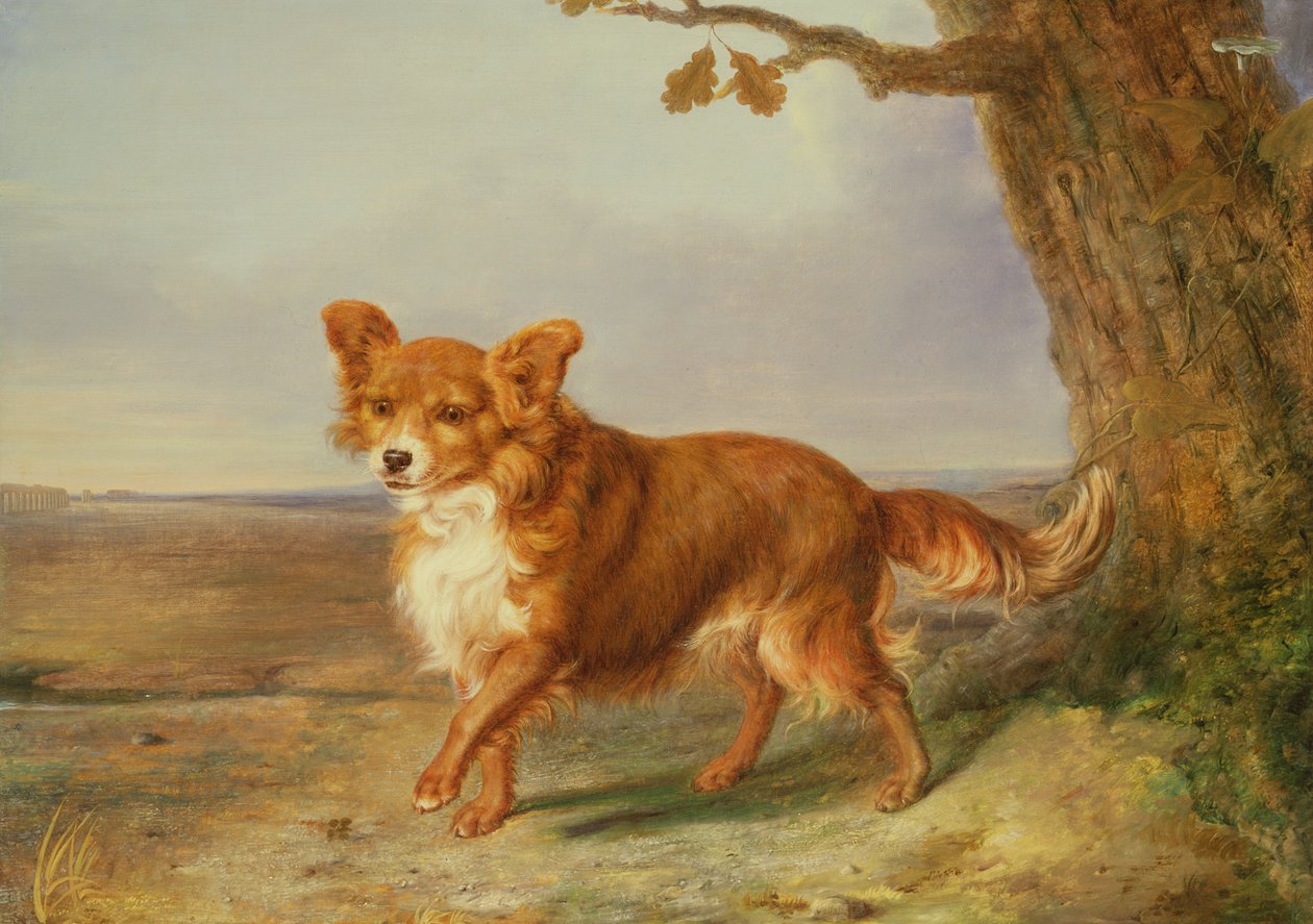 Portrett av en hund i et italiensk landskap av Vallati
