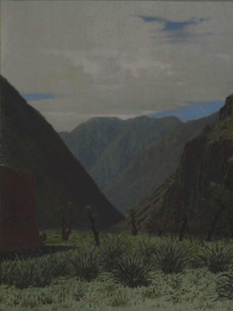 Barskaun fjellpass av Vasili Vasilievich Vereshchagin