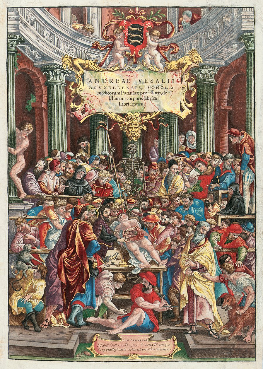 Frontispice til De Humani Corporis Fabrica Libri Septem av Andreas Vesalius (1514-64), utgitt av Johannes Oporinus, Basel, juni 1543 (fargetresnitt) (se også 233019) av Venetian School