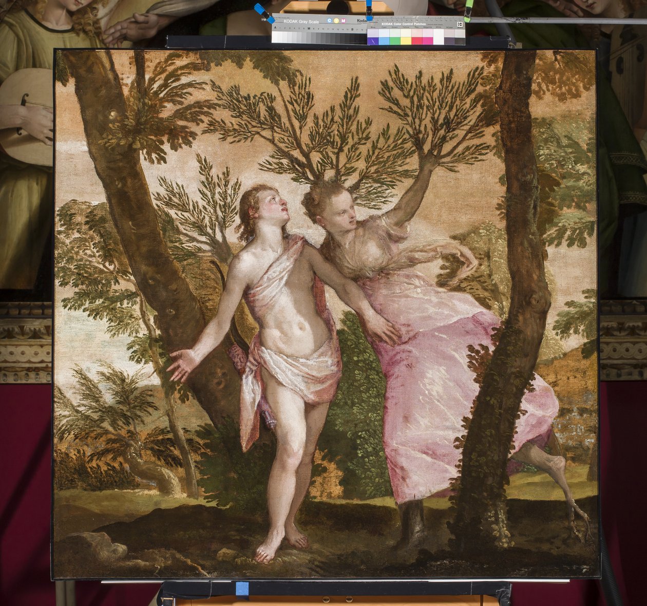 Apollo og Daphne, ca. 1560-65 av Paolo Veronese