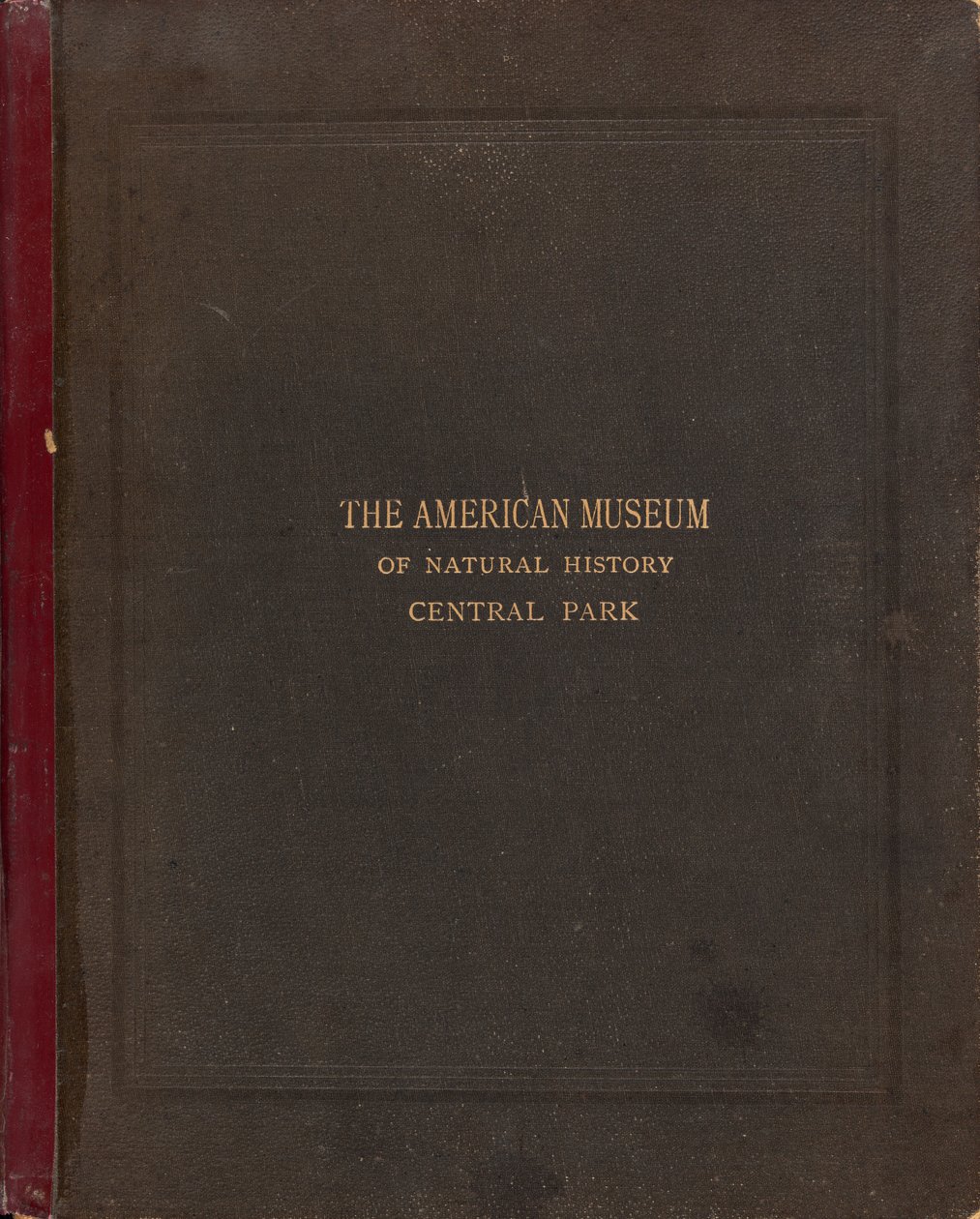 Det fotografiske albumet til American Museum of Natural History, Central Park, New York City av Victor Prevost, Gaston L. Feuardent and Co., New York