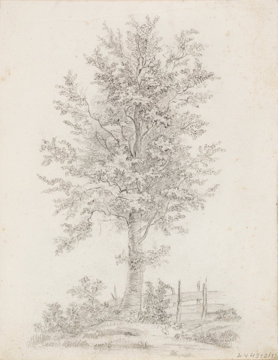  av Victoria Åberg