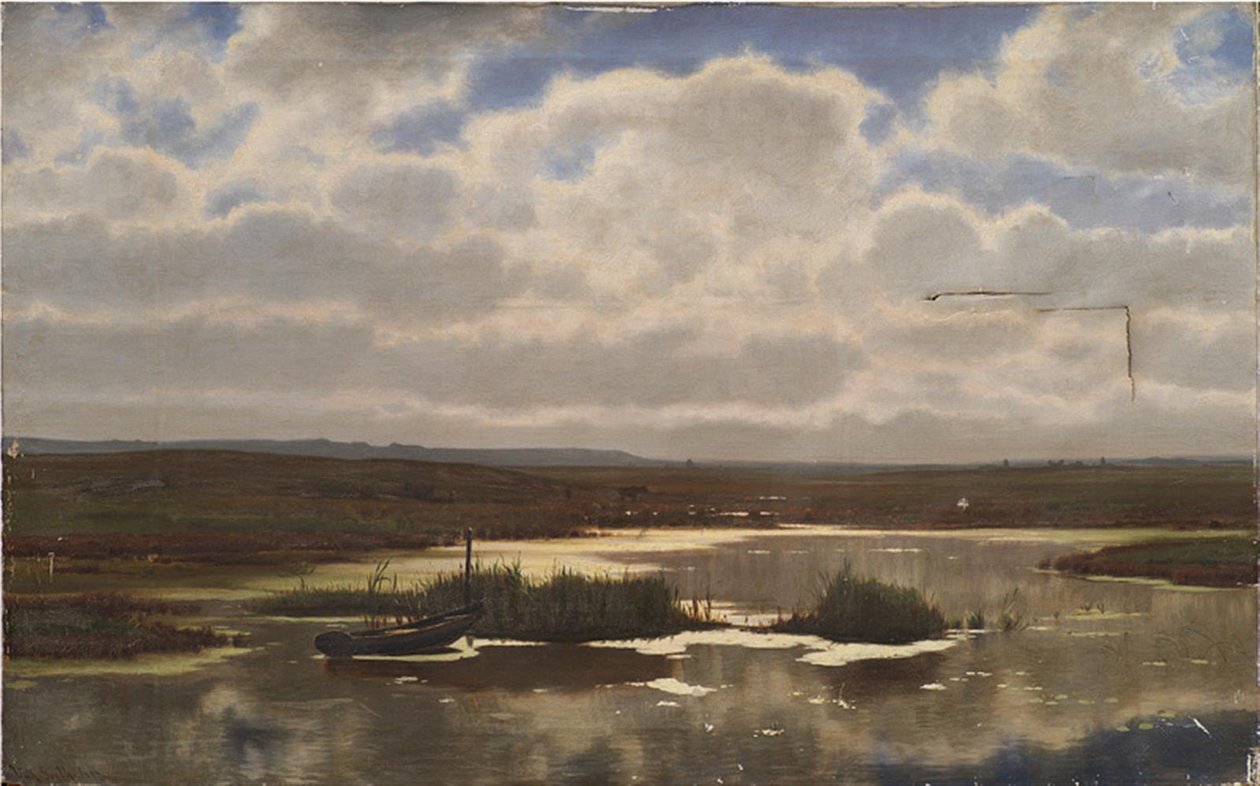 Hei med myr av Vilhelm Groth