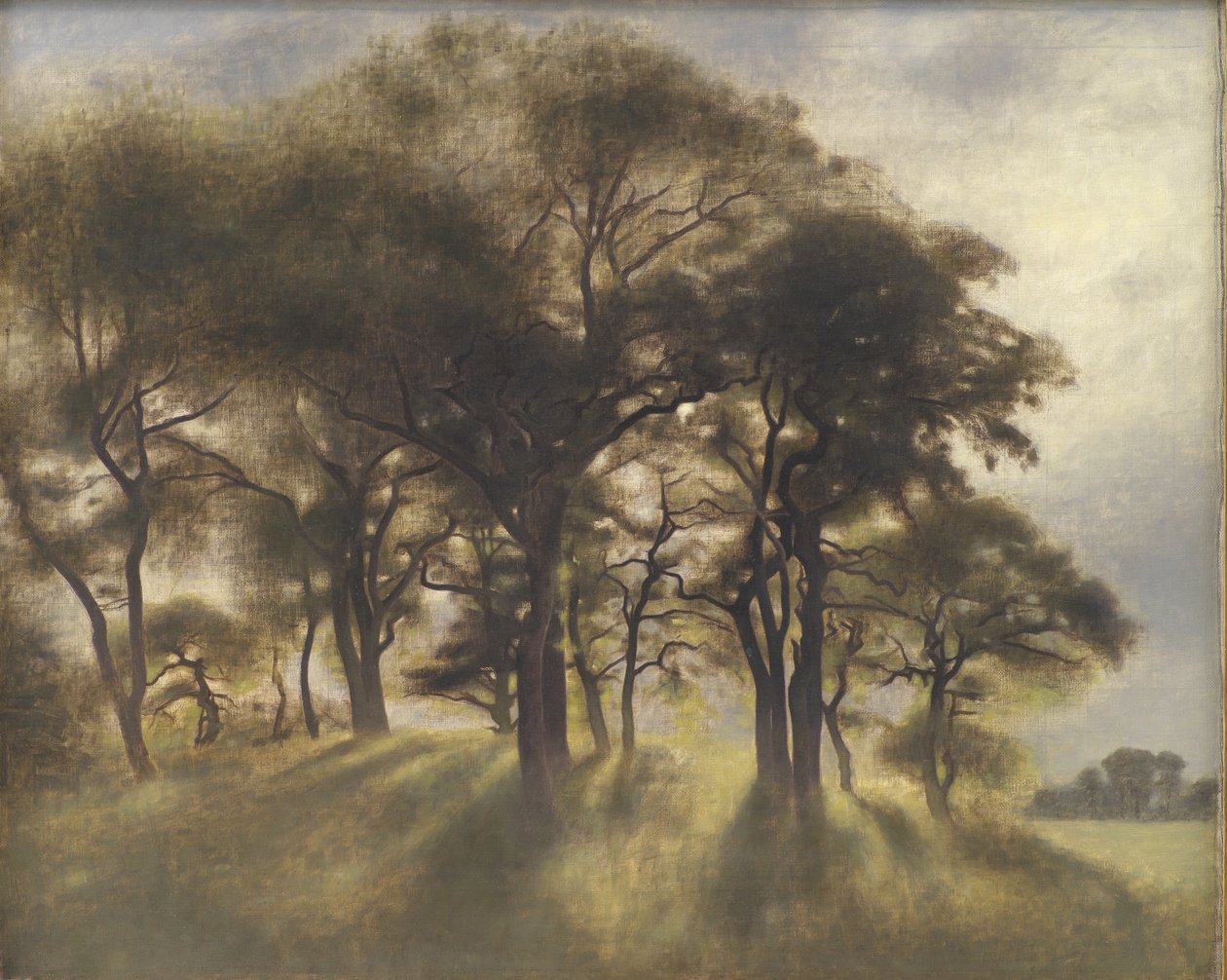 Nær Fortunen, Jægersborg Deer Park, Nord for København av Vilhelm Hammershøi