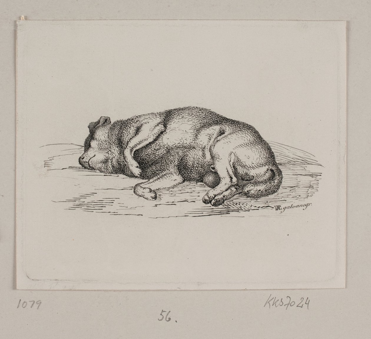 En løgnaktig hund av Vilhelm Kyhn