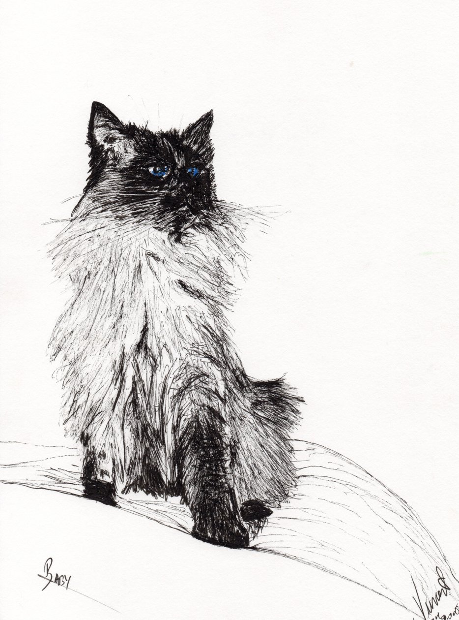 Baby, 2008, (blekk på papir) av Vincent Alexander Booth