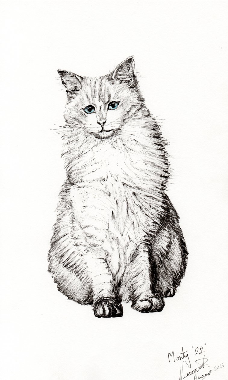 Gutt, 2015, (blekk på papir) av Vincent Alexander Booth