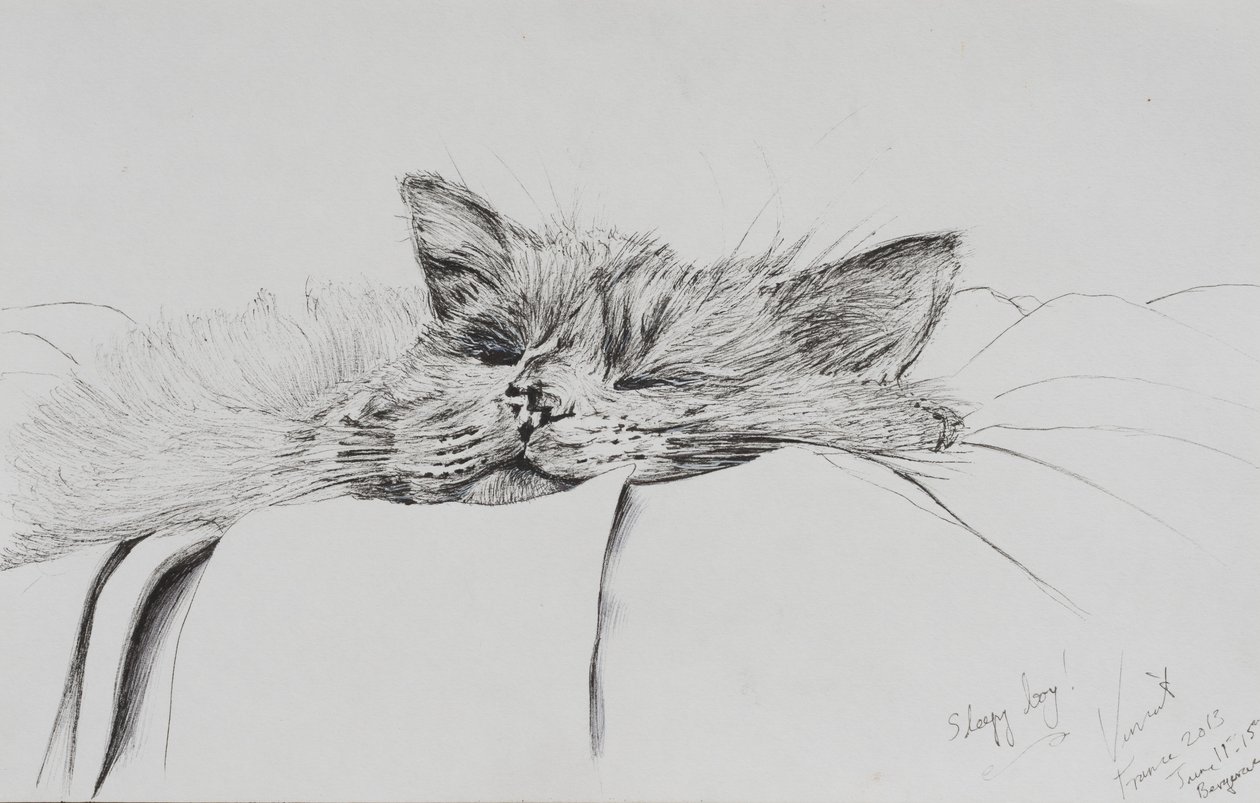 Monty sleepy boy, 2013, (blekk på papir) av Vincent Alexander Booth