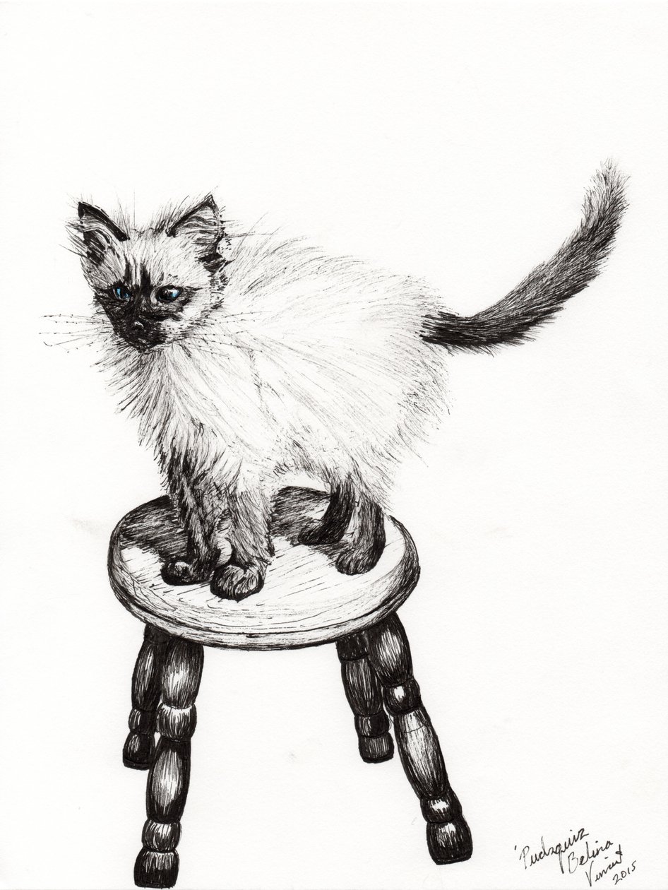 Pudsquiz Belina, 2015, (blekk på papir) av Vincent Alexander Booth