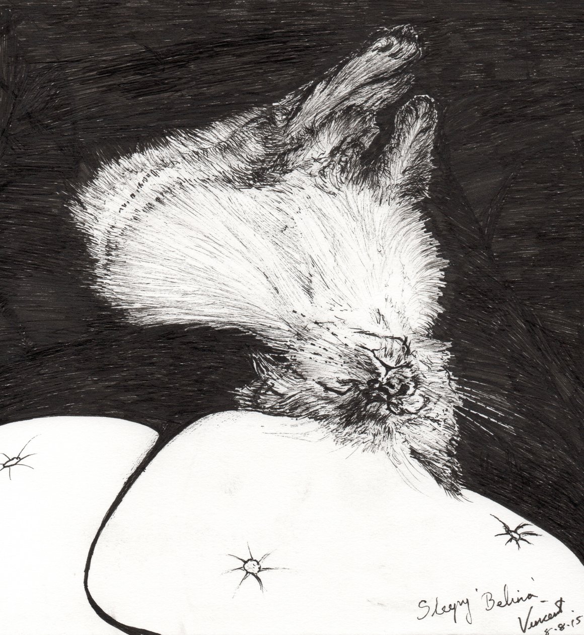 Sleepy Belina, 2015, (blekk på papir) av Vincent Alexander Booth