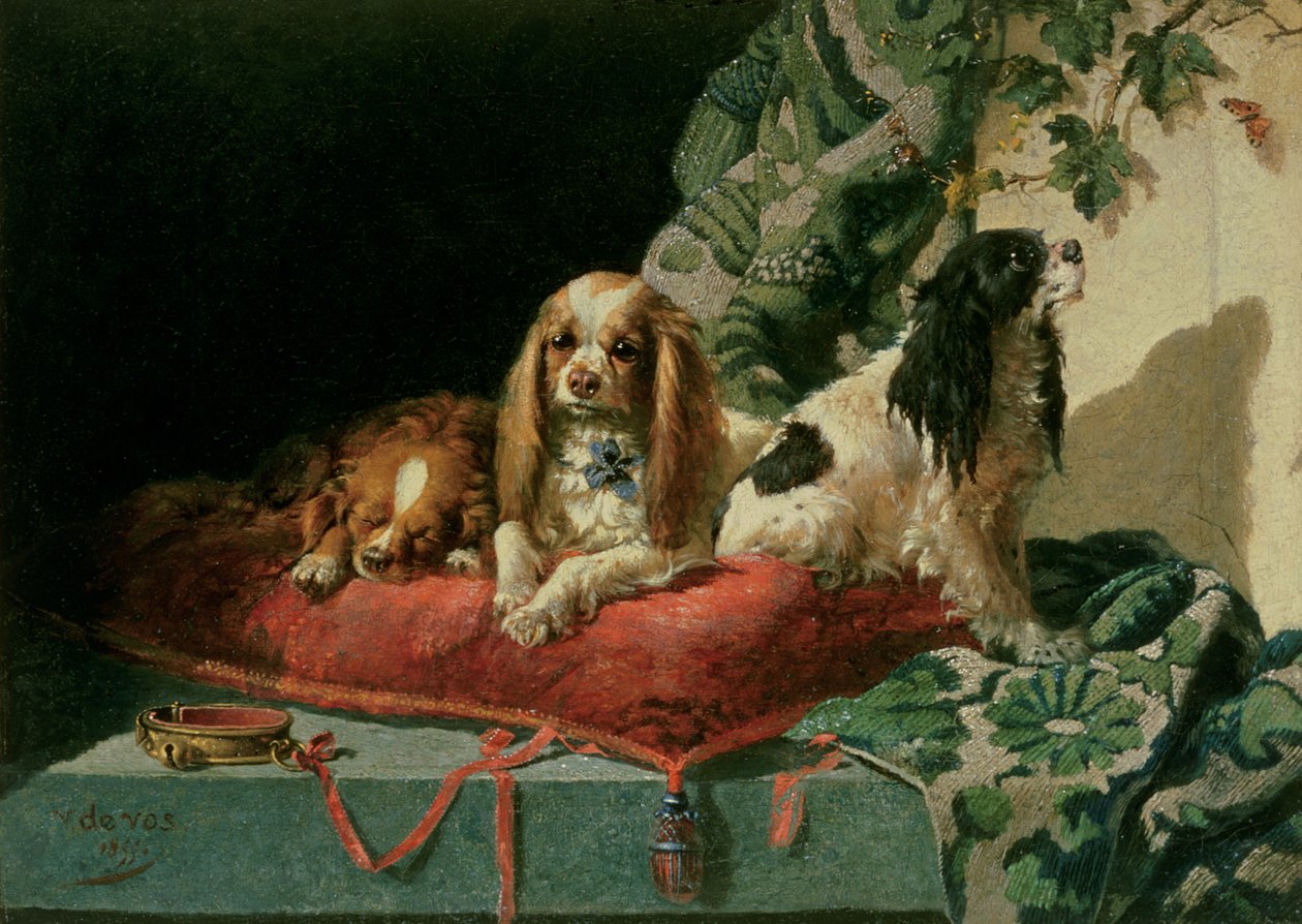 King Charles Spaniels av Vincent de Vos