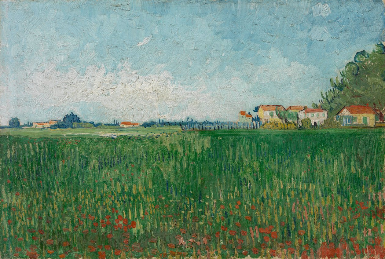Felt med valmuer av Vincent van Gogh