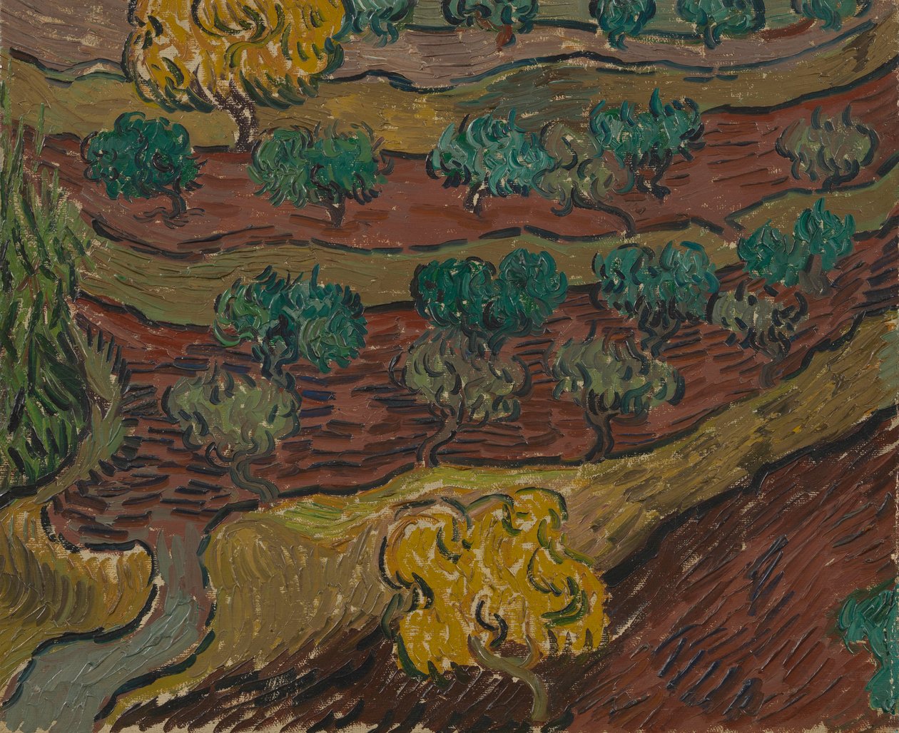Oliventrær på en åsside av Vincent van Gogh