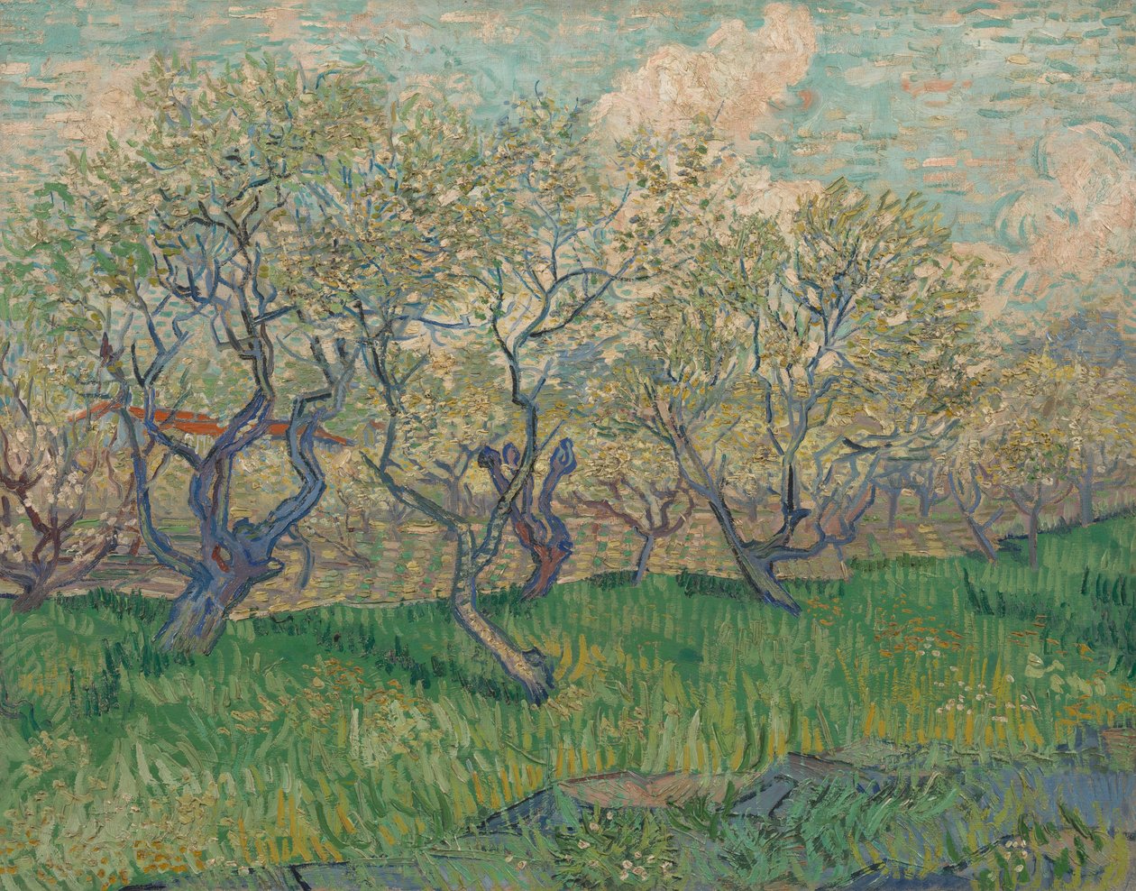 Frukthage i blomst av Vincent van Gogh