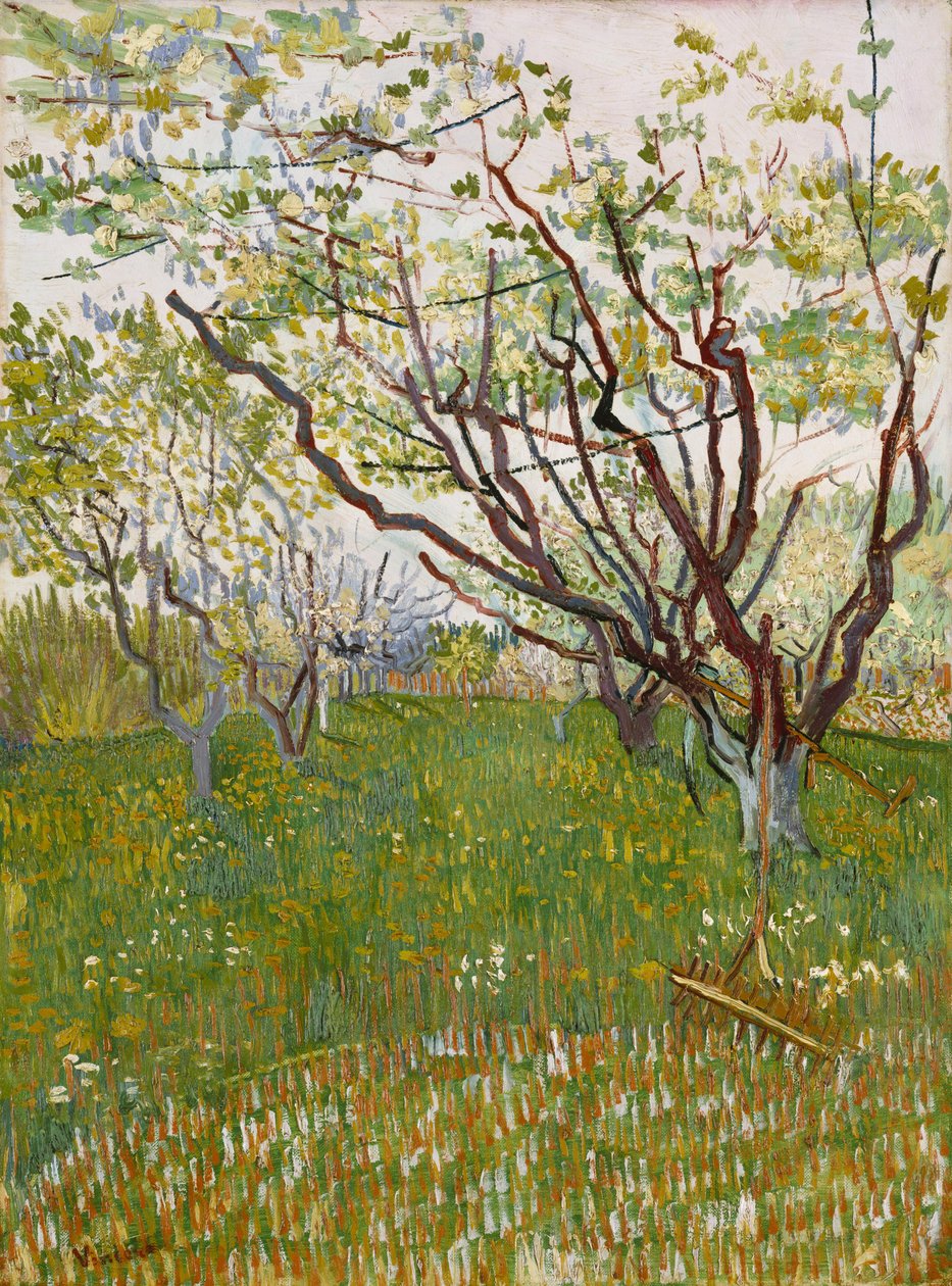 Den blomstrende frukthagen av Vincent van Gogh
