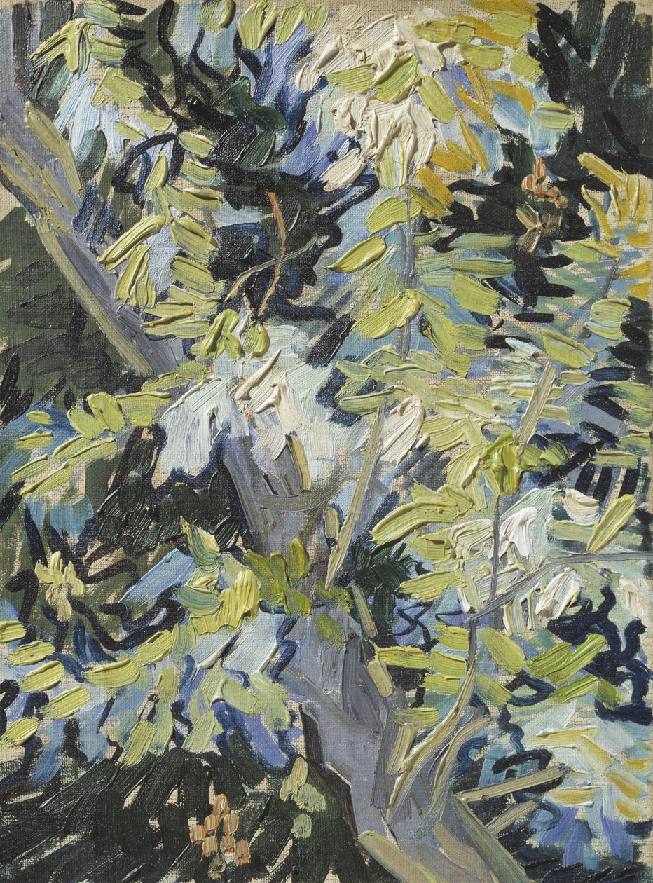 Akasie i blomst, ca. 1889 av Vincent van Gogh