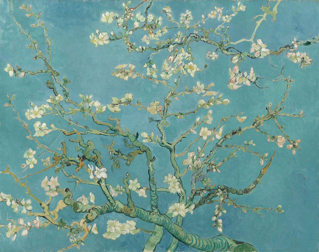 Mandelblomst av Vincent van Gogh