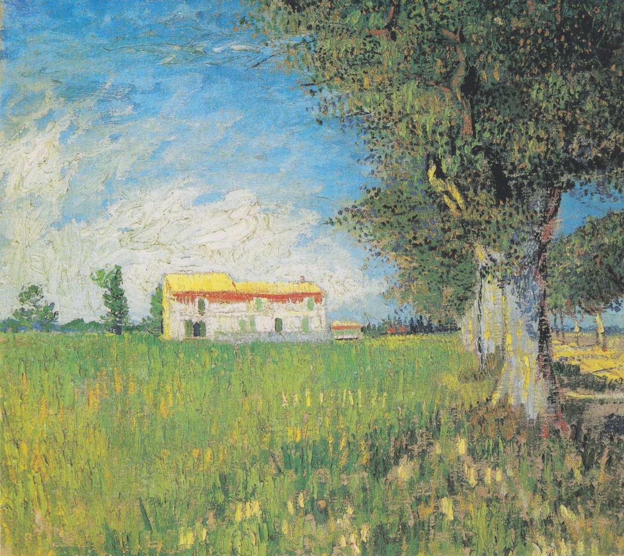 Våningshus i et hvetemark av Vincent van Gogh