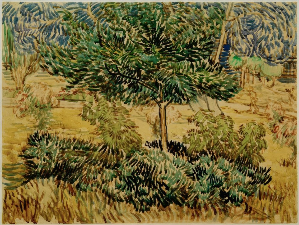 Tre og busker i hagen til sanatoriet av Vincent van Gogh