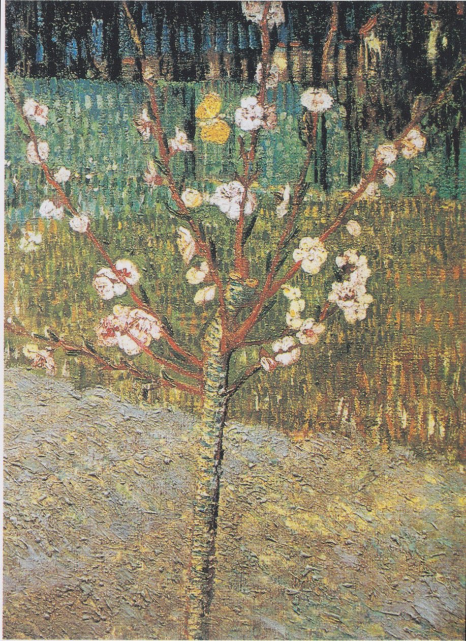 Blomstrende mandeltre av Vincent van Gogh