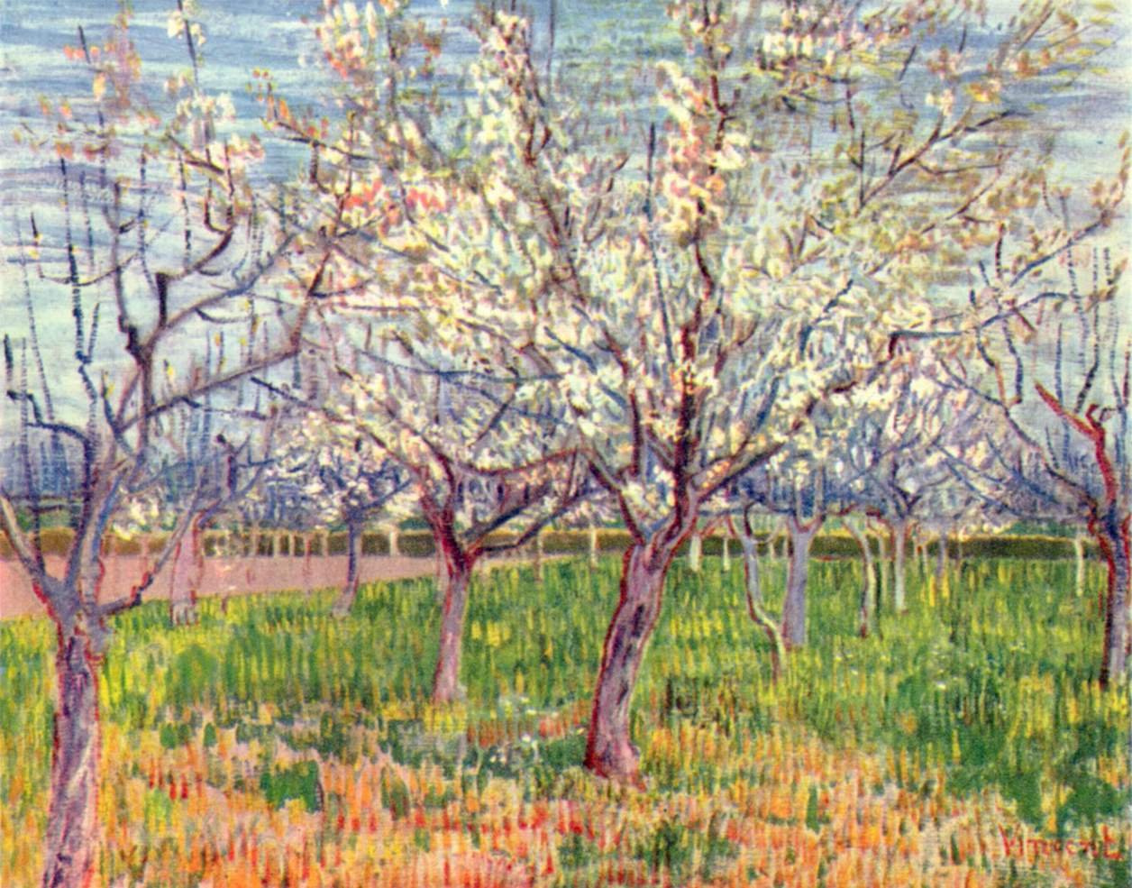 Blomstrende frukthage av Vincent van Gogh