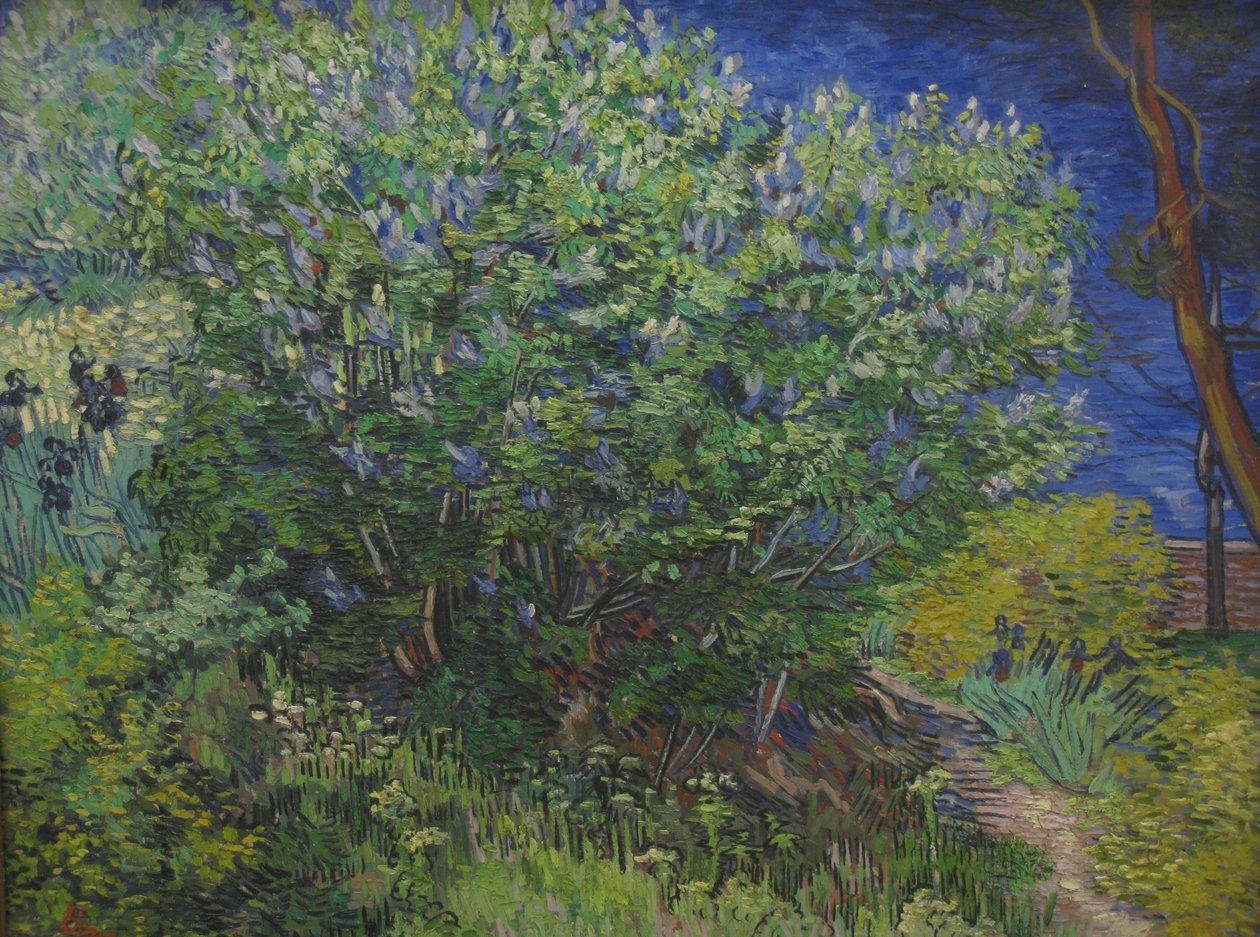 Busk av Vincent van Gogh