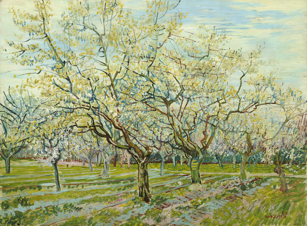 Den hvite frukthagen av Vincent van Gogh