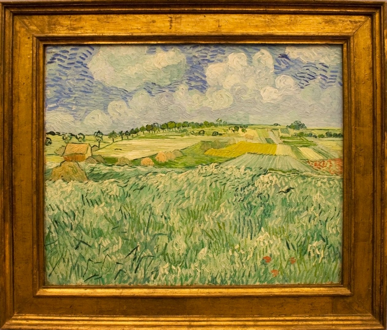 Nivå på Auvers av Vincent van Gogh
