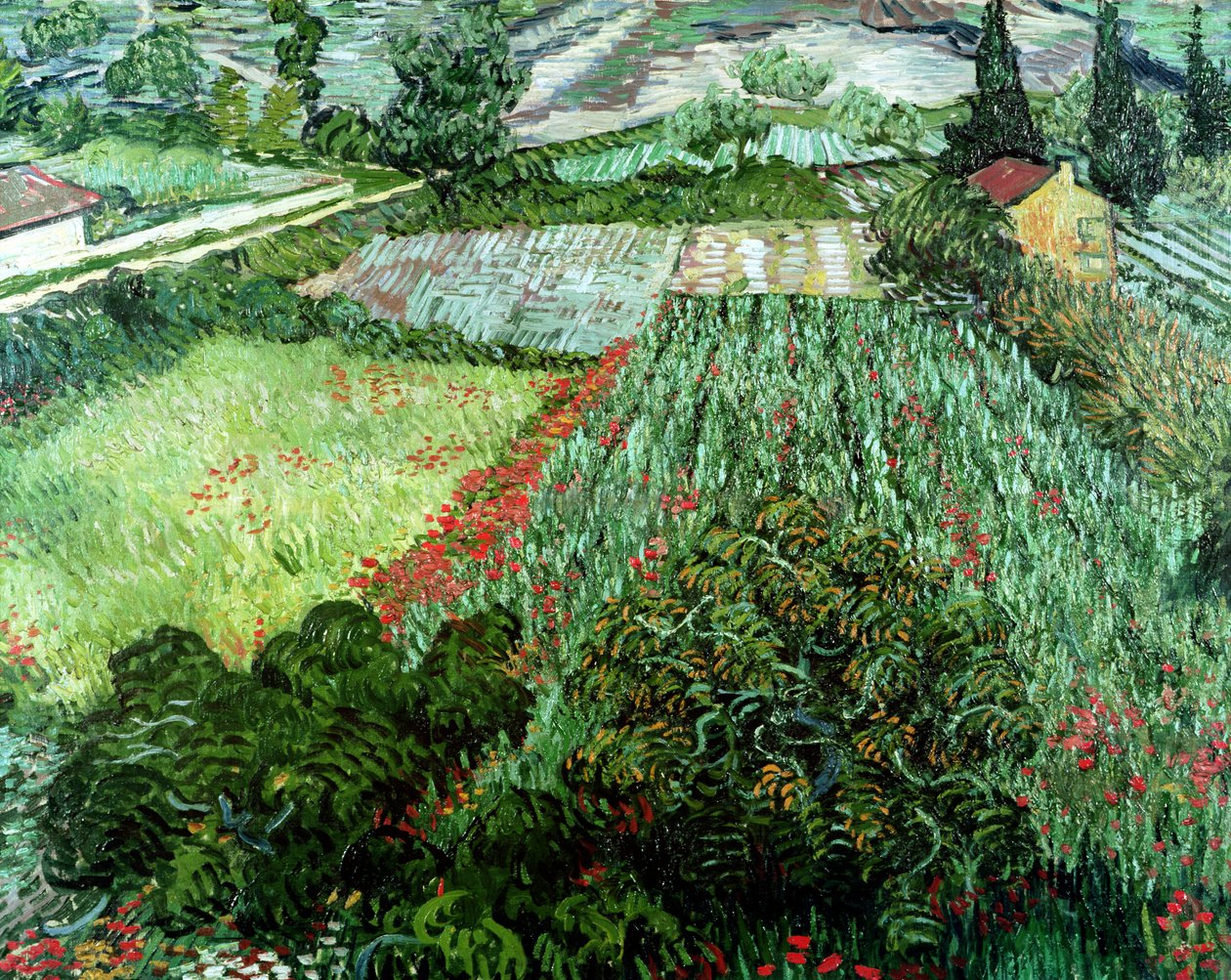 Åker med valmuer, 1889 av Vincent van Gogh