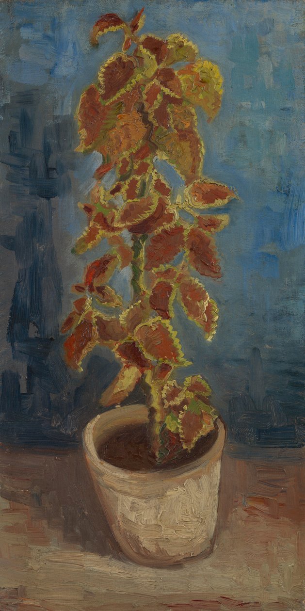 Flammenesle i en blomsterpotte av Vincent van Gogh