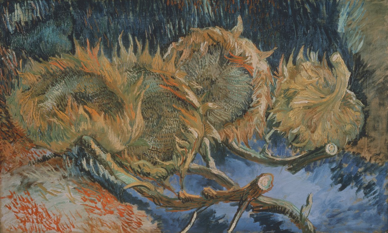 Fire visne solsikker, 1887 av Vincent van Gogh